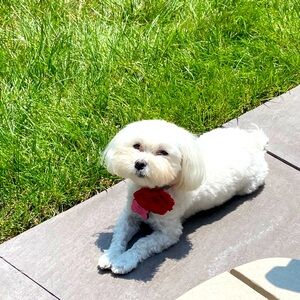 Meet your Posher, KC